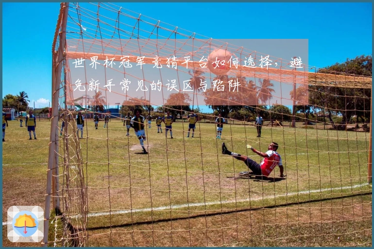 世界杯冠军竞猜平台如何选择，避免新手常见的误区与陷阱