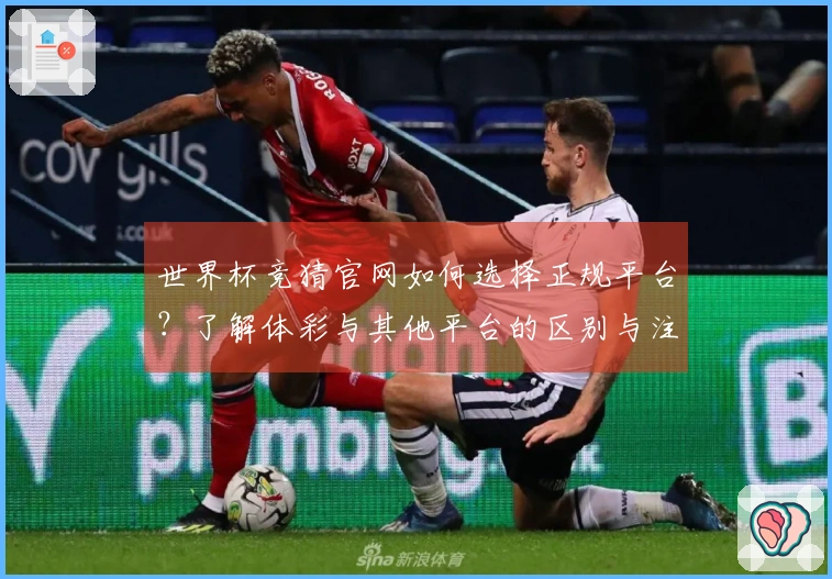 世界杯竞猜官网如何选择正规平台？了解体彩与其他平台的区别与注意事项
