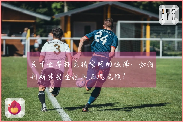 关于世界杯竞猜官网的选择，如何判断其安全性和正规流程？