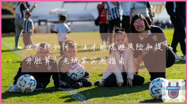 世界杯如何下注才能规避风险和提升胜算？老玩家实用指南