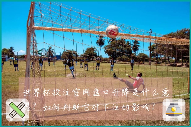 世界杯投注官网盘口升降是什么意思？如何判断它对下注的影响？