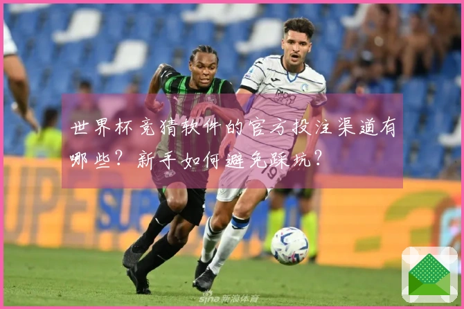世界杯竞猜软件的官方投注渠道有哪些？新手如何避免踩坑？