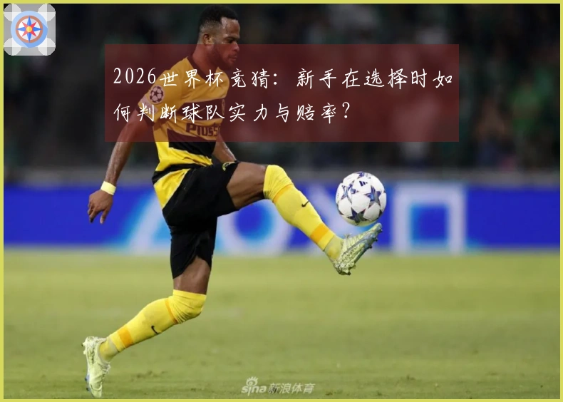 2026世界杯竞猜：新手在选择时如何判断球队实力与赔率？